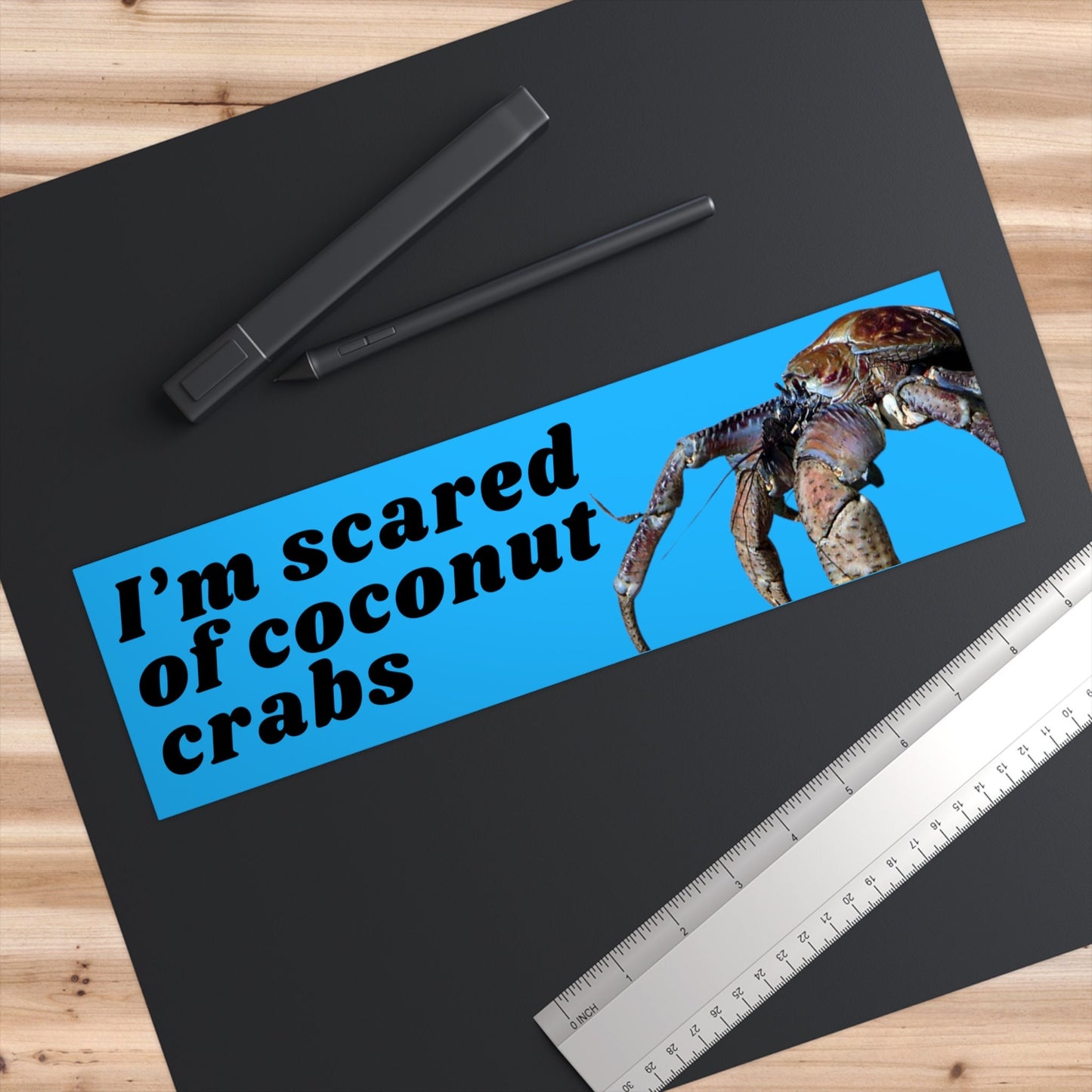 Funny Coconut Crab Bumper Sticker, Gen Z Humor, Waterproof Vinyl