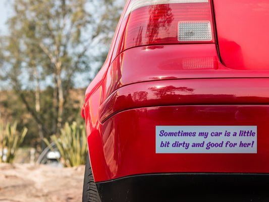 Dirty Car Bumper Sticker, Funny Car Accessories, Waterproof Vinyl