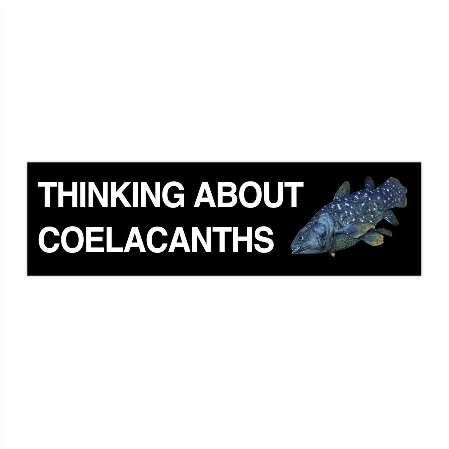 Thinking About Coelacanths Bumper Sticker, Funny Science Gift