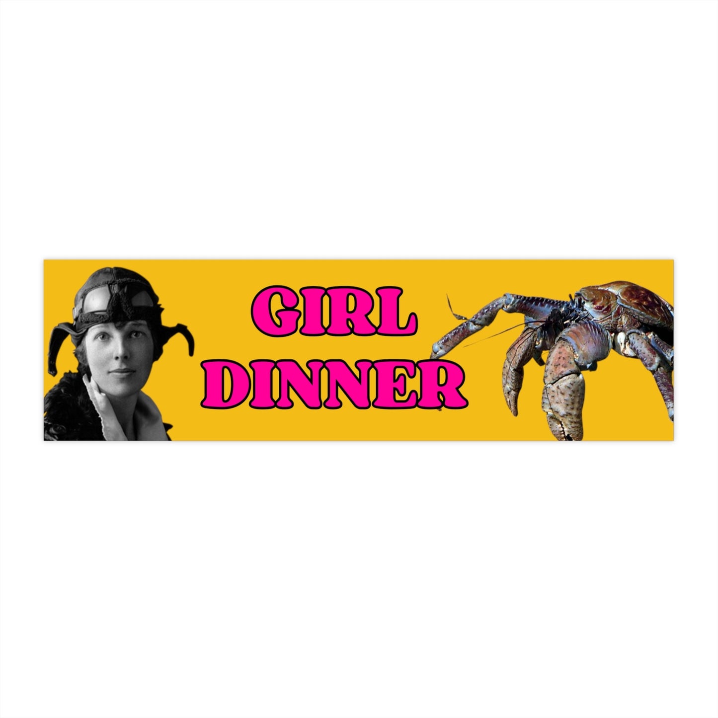 Girl Dinner Vinyl Bumper Sticker, Funny Car Decal
