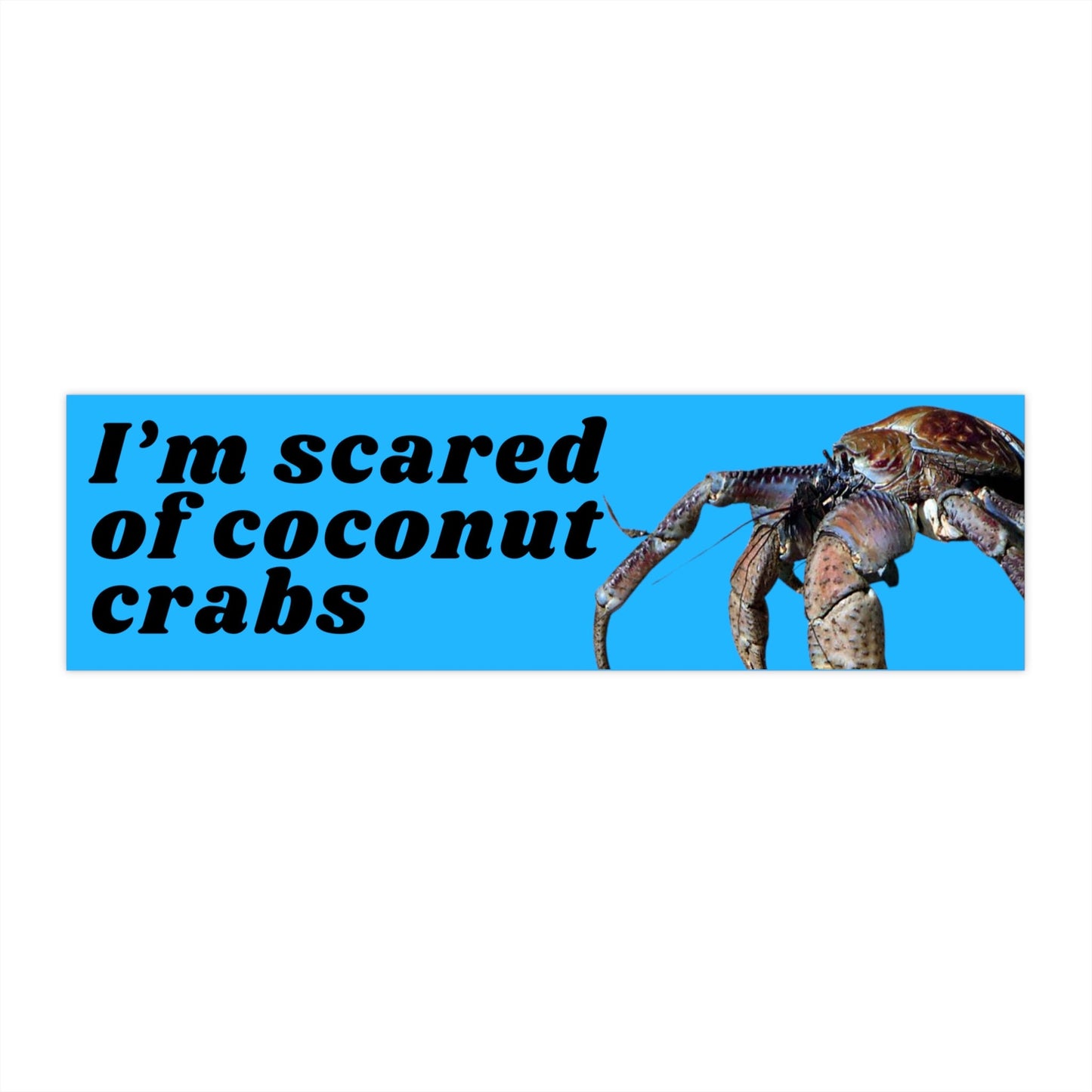 Funny Coconut Crab Bumper Sticker, Gen Z Humor, Waterproof Vinyl