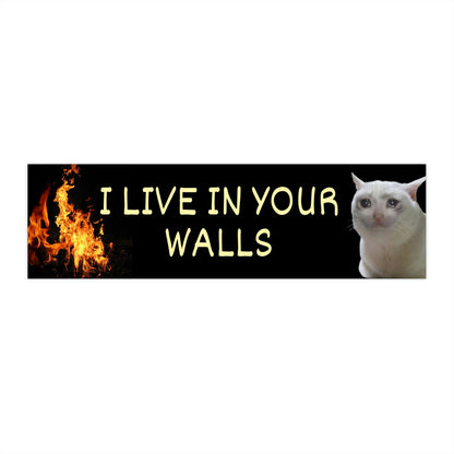 I Live in Your Walls Meme Bumper Sticker, Funny Bad Driver Bumper Sticker, Meme Cat Bumper Stickers, Cat Meme Stickers, Weird Car Stickers