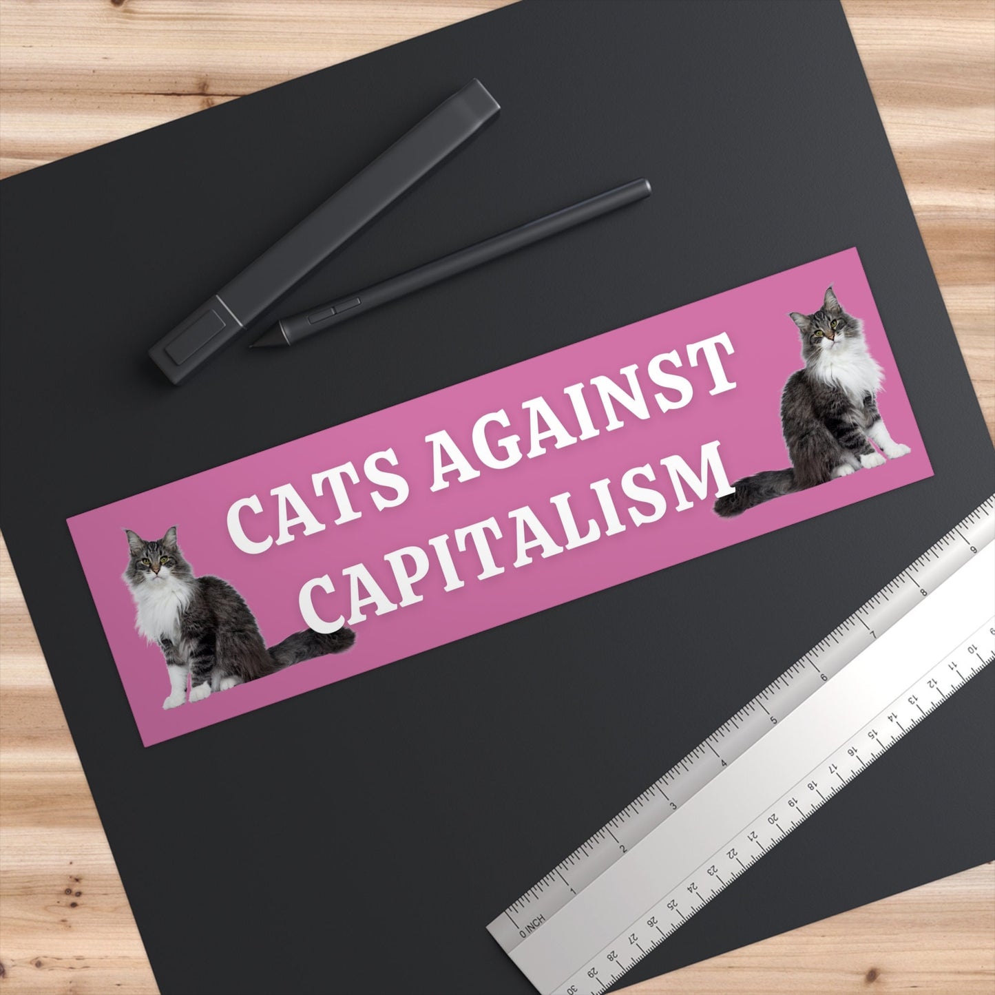 Cats Against Capitalism Bumper Sticker, Funny Leftist Car Decal