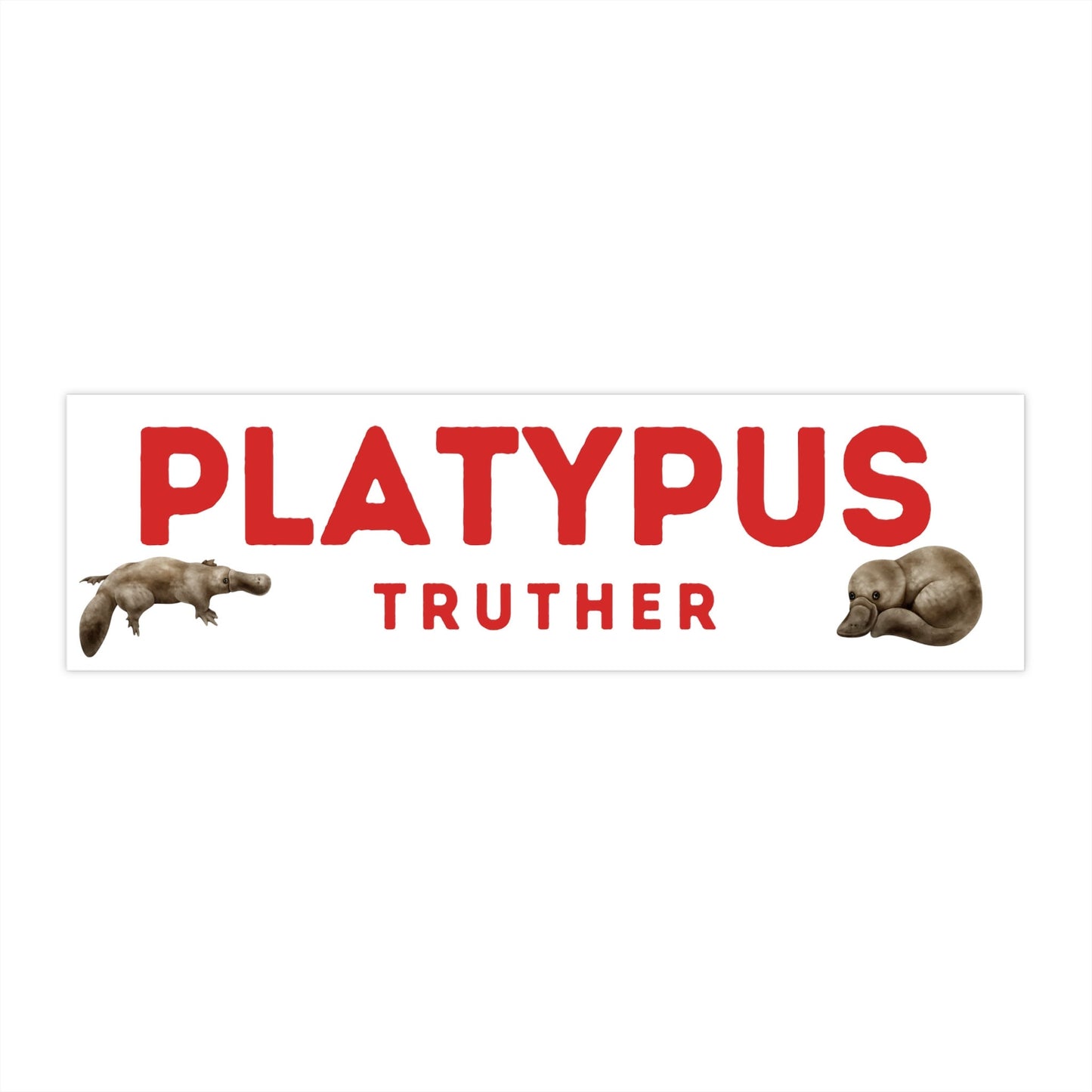 Platypus Truther Bumper Sticker, Funny Cryptid Conspiracy Decal