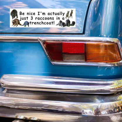 Funny 3 Raccoons in a Trenchcoat Bumper Sticker, Gen Z Meme
