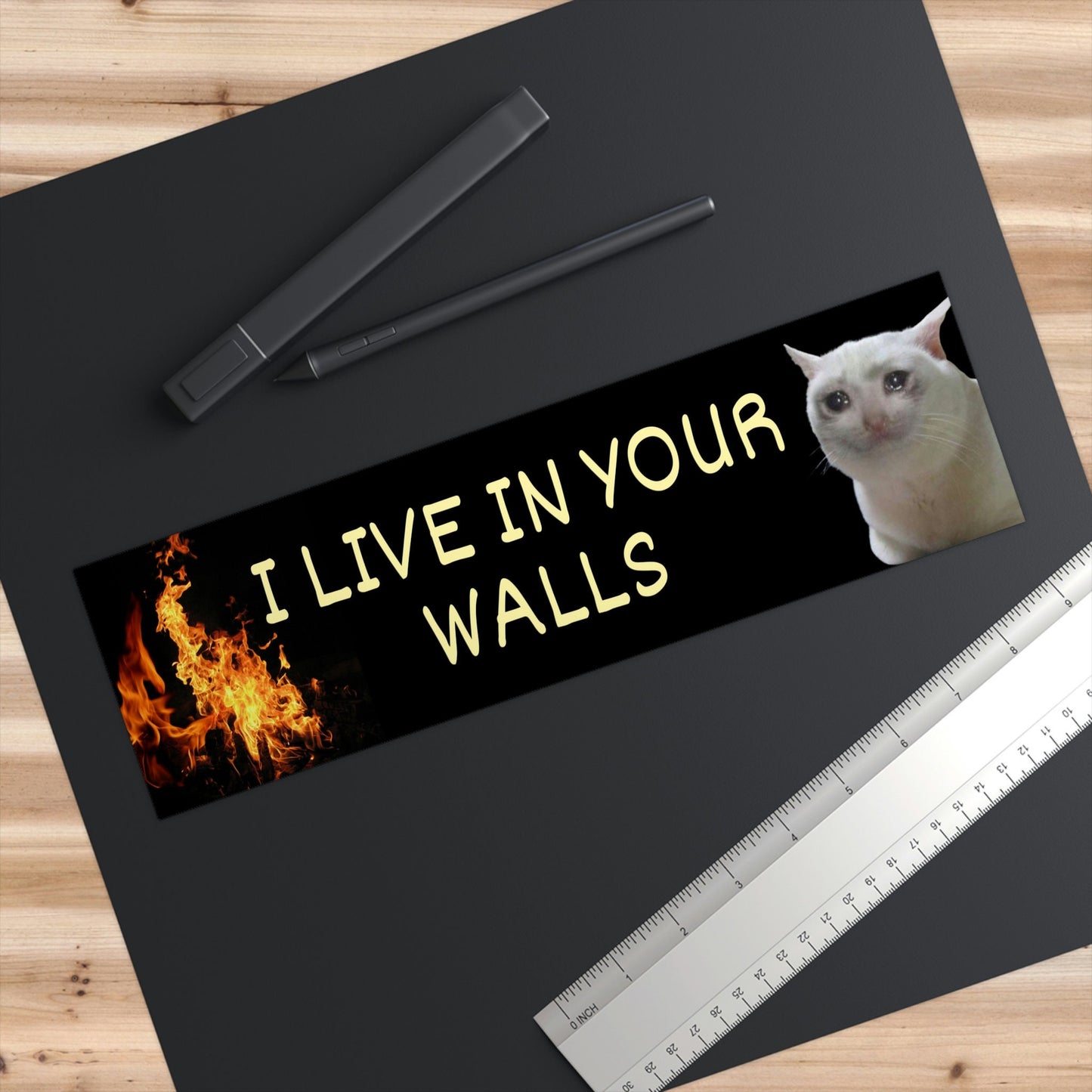 I Live in Your Walls Meme Bumper Sticker, Funny Bad Driver Bumper Sticker, Meme Cat Bumper Stickers, Cat Meme Stickers, Weird Car Stickers
