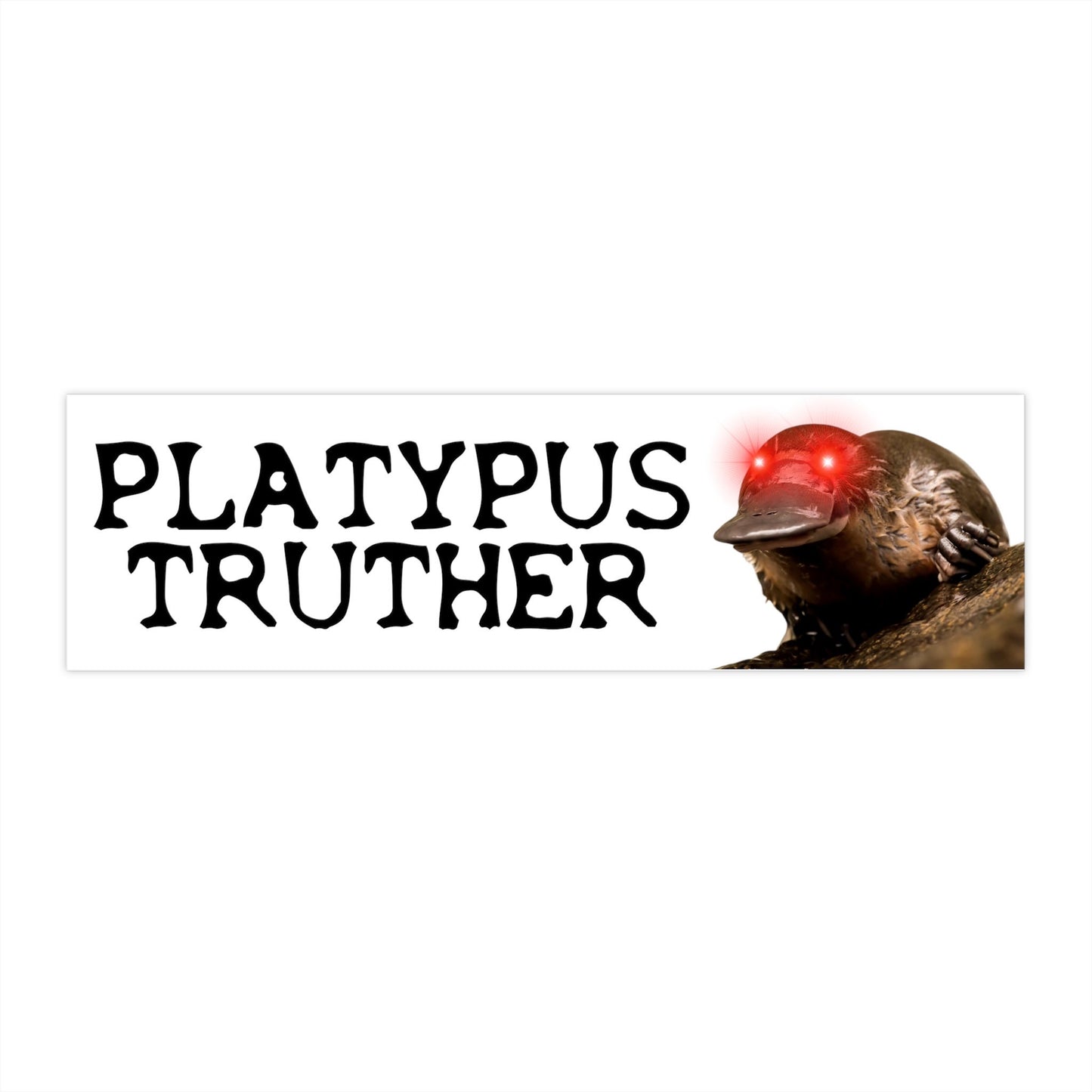 Cursed Platypus Truth Bumper Sticker, Dark Humor Car Decal