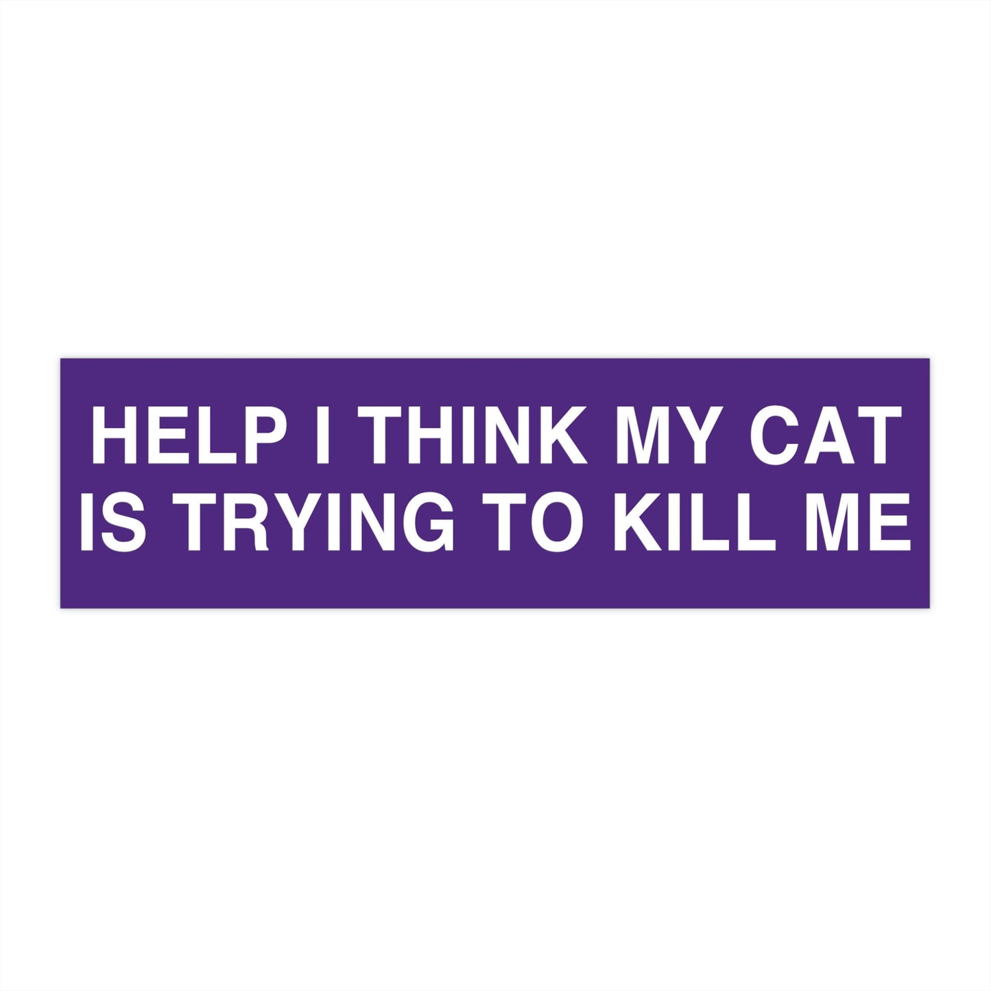 Help My Cat is Trying to Kill Me Bumper Sticker Funny, Cursed Meme Bumper Stickers, Weird gifts for Friends, Warning Bad Driver Car
