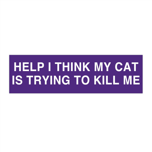 Help My Cat is Trying to Kill Me Bumper Sticker Funny, Cursed Meme Bumper Stickers, Weird gifts for Friends, Warning Bad Driver Car