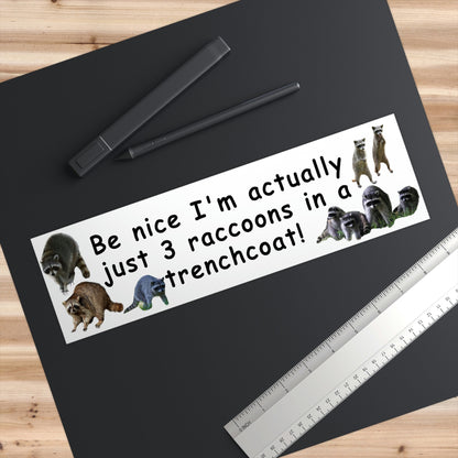 Funny 3 Raccoons in a Trenchcoat Bumper Sticker, Gen Z Meme