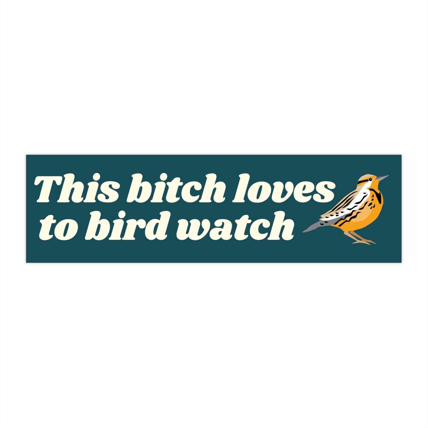 Funny Bird Watcher Vinyl Bumper Sticker, Outdoorsy Car Decal
