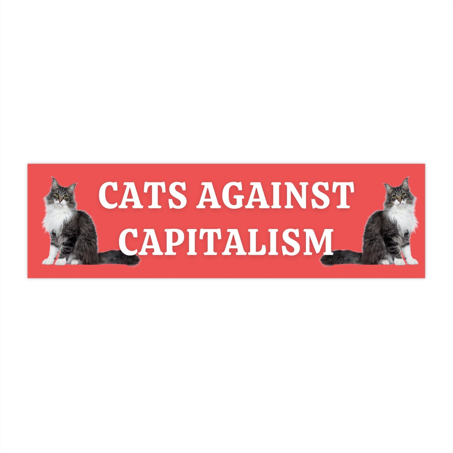 Cats Against Capitalism Bumper Sticker, Funny Leftist Car Decal