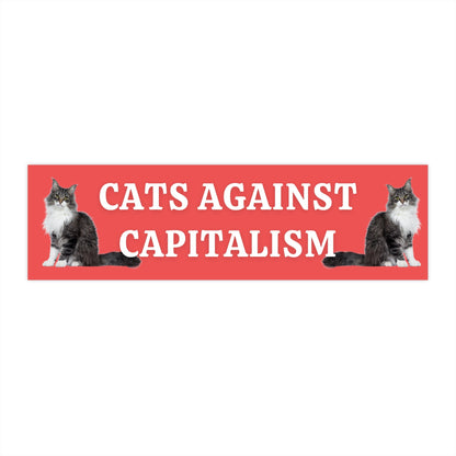 Cats Against Capitalism Bumper Sticker, Funny Leftist Car Decal