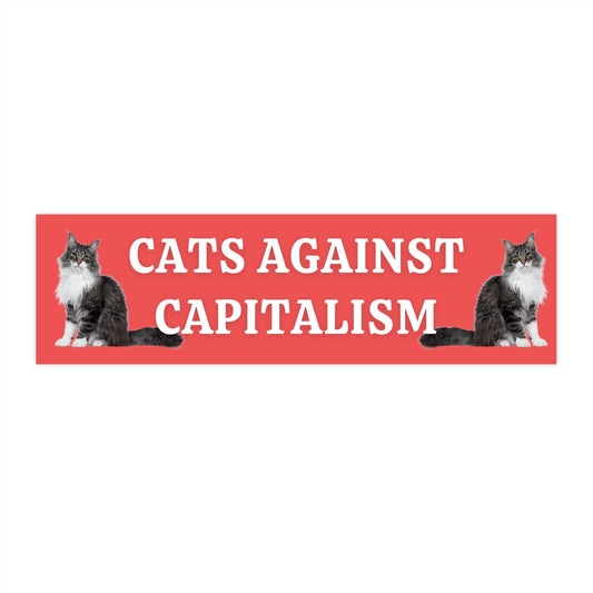 Cats Against Capitalism Bumper Sticker, Funny Leftist Car Decal