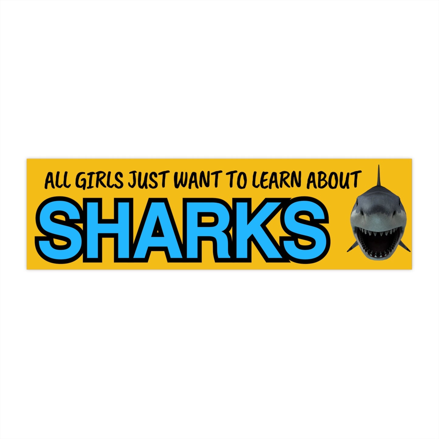 Shark Bumper Sticker, Funny Car Decal, Science Gift
