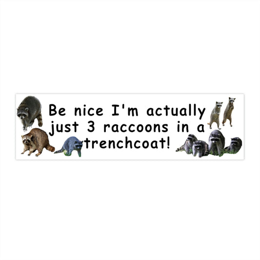 Funny 3 Raccoons in a Trenchcoat Bumper Sticker, Gen Z Meme