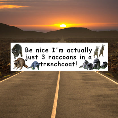 Funny 3 Raccoons in a Trenchcoat Bumper Sticker, Gen Z Meme