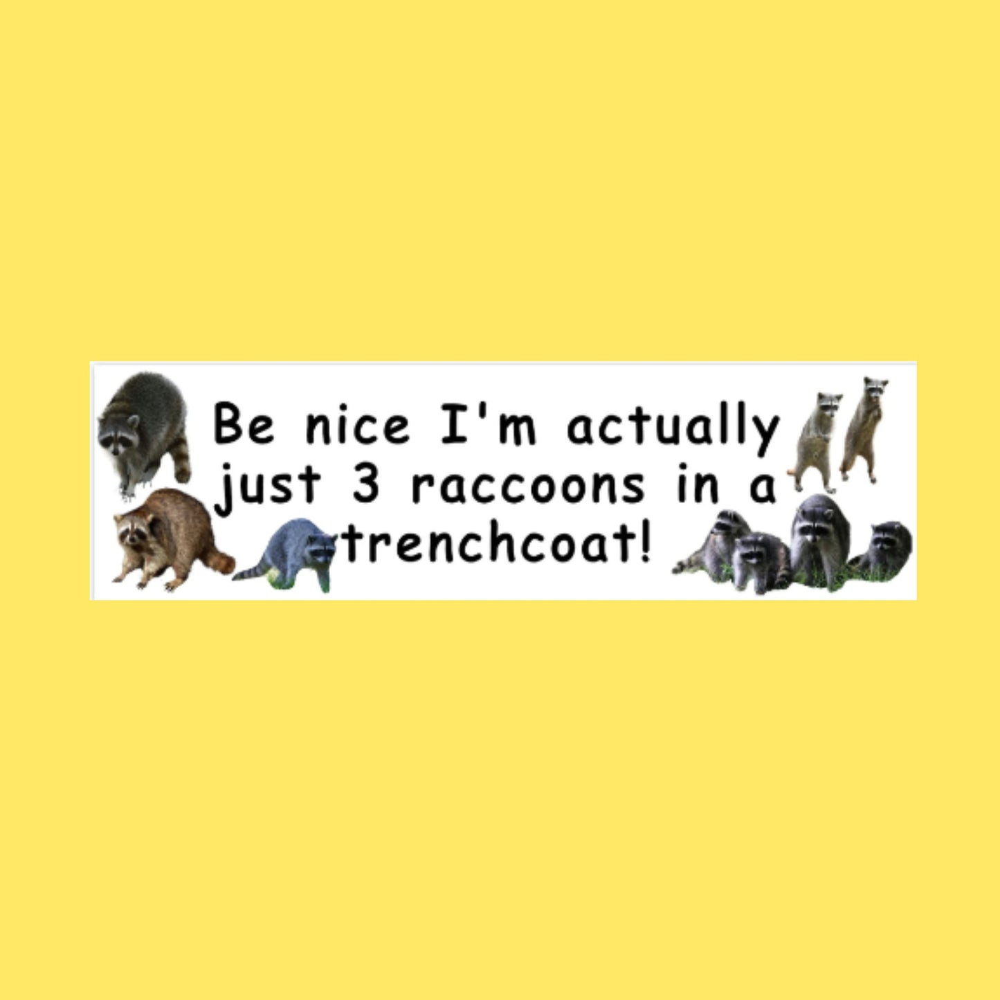 Funny 3 Raccoons in a Trenchcoat Bumper Sticker, Gen Z Meme