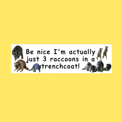 Funny 3 Raccoons in a Trenchcoat Bumper Sticker, Gen Z Meme