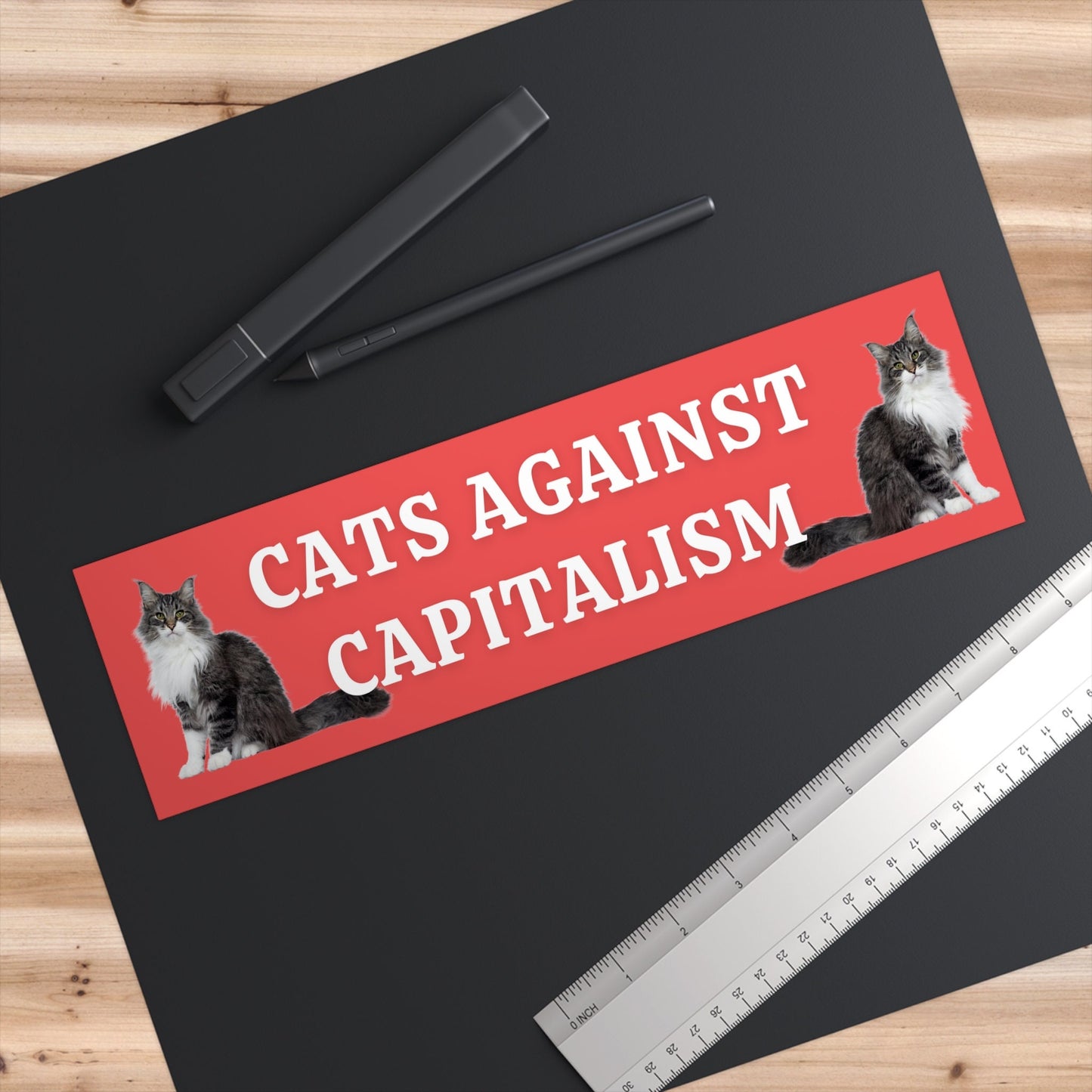Cats Against Capitalism Bumper Sticker, Funny Leftist Car Decal
