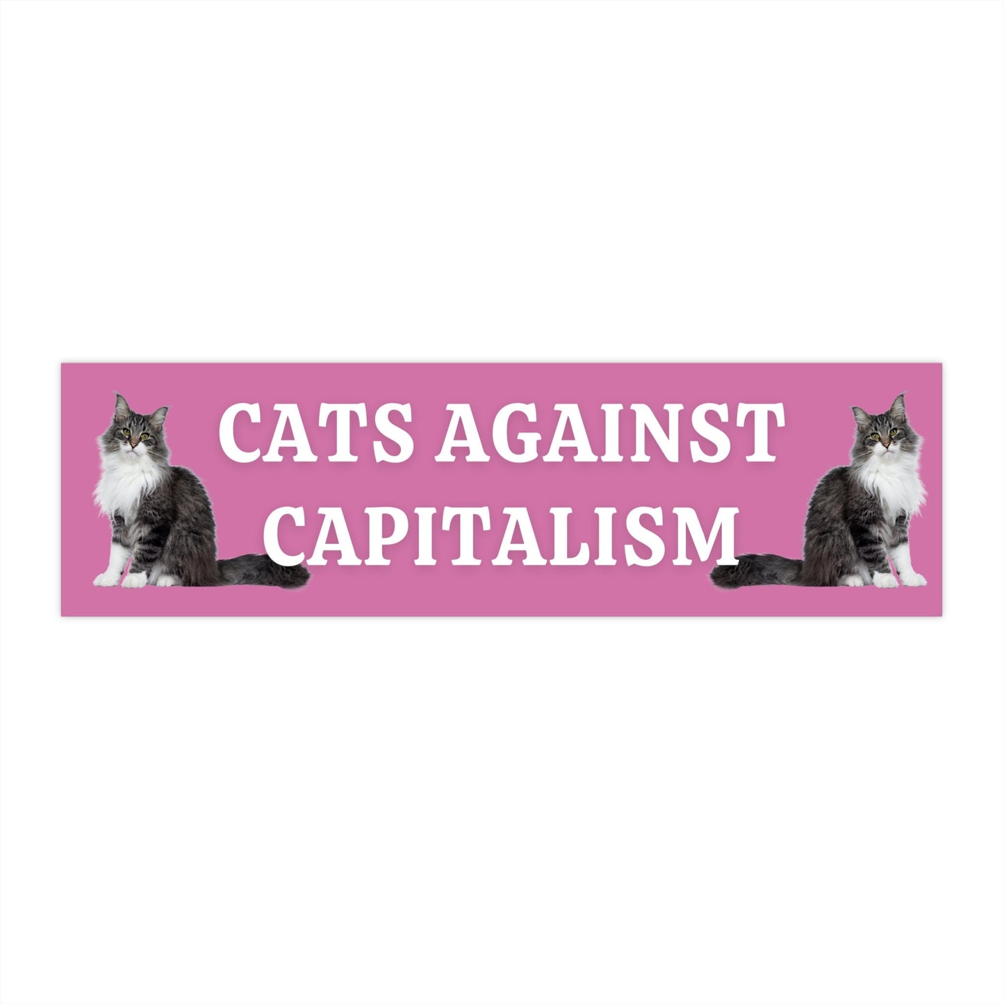 Cats Against Capitalism Bumper Sticker, Funny Leftist Car Decal