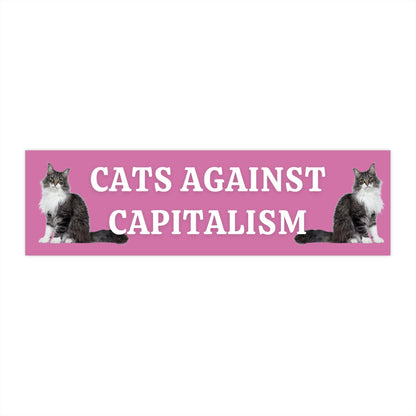Cats Against Capitalism Bumper Sticker, Funny Leftist Car Decal